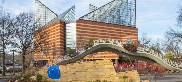 查塔努加骑士酒店(Knights Inn Chattanooga)图片