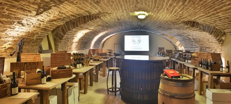 莱斯德舍夫尔酒店 热夫雷-香贝丹(Hôtel les Deux Chèvres Gevrey-Chambertin)图片