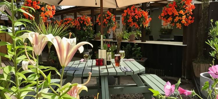 西伯顿白马旅馆(Sibton White Horse Inn)图片