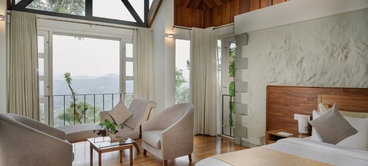 香料树Rajakumari(SpiceTree Rajakumari)图片