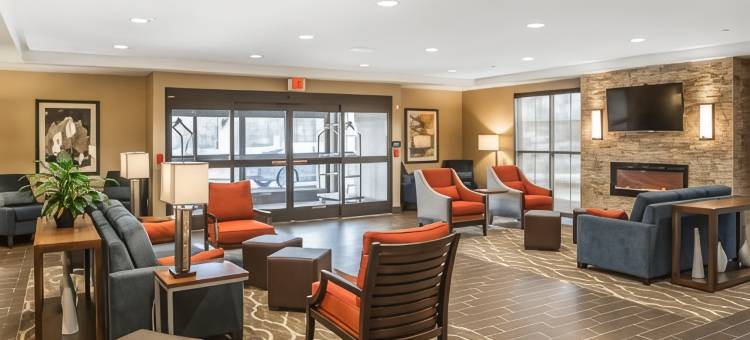 舒适酒店-81号州际公路和宾州收费公路(Comfort Inn PA Turnpike - I-81)图片