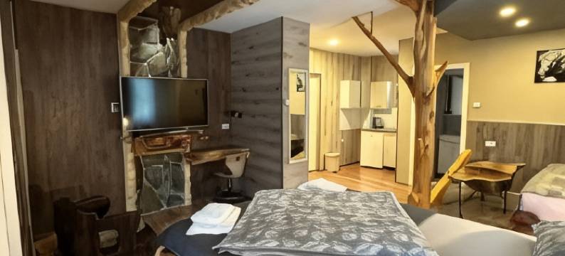 公园2016公寓(Apartments Park 2016)图片