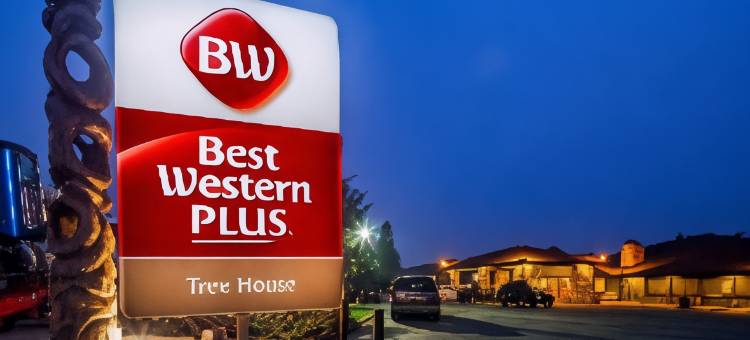 树屋贝斯特韦斯特优质酒店(Best Western Plus Tree House)图片