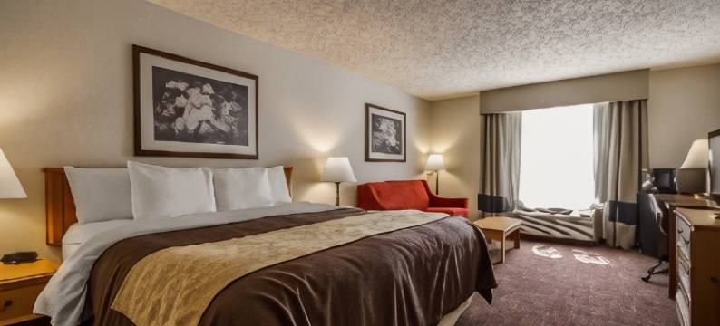 舒适酒店(Comfort Inn)图片