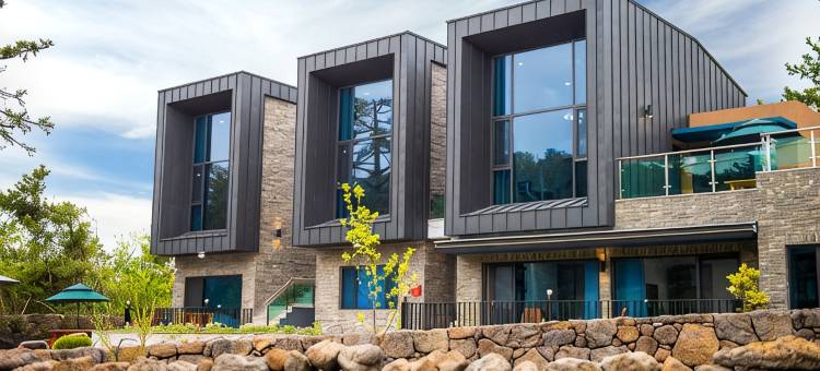 Jeju One Pine Tree Pension图片