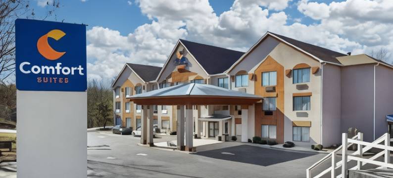 北区医院格威纳特舒适套房酒店(Comfort Suites Northside Hospital Gwinnett)图片