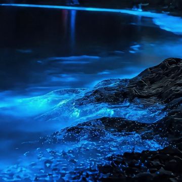 福州+平潭+霞浦5日4晚拼小团