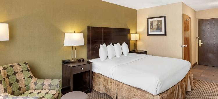 沃特敦德拉姆堡贝斯特韦斯特酒店(Best Western Watertown Fort Drum)图片