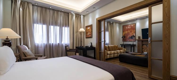 安达卢斯·欧星酒店宫殿(Eurostars Al-Ándalus Palace)图片