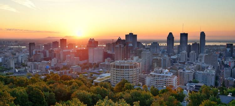 蒙特利尔四季酒店(Four Seasons Hotel Montreal)图片