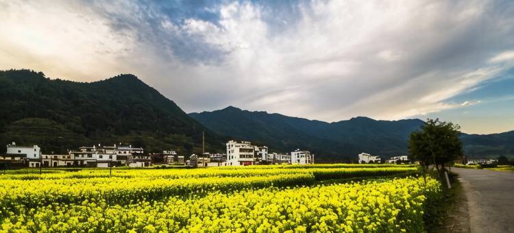婺源鲍老师客栈图片