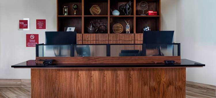 达拉斯阿林顿娱乐区福朋喜来登酒店(Four Points by Sheraton Dallas Arlington Entertainment District)图片