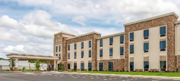 舒适套房旅馆(Comfort Inn & Suites East Ellijay)图片