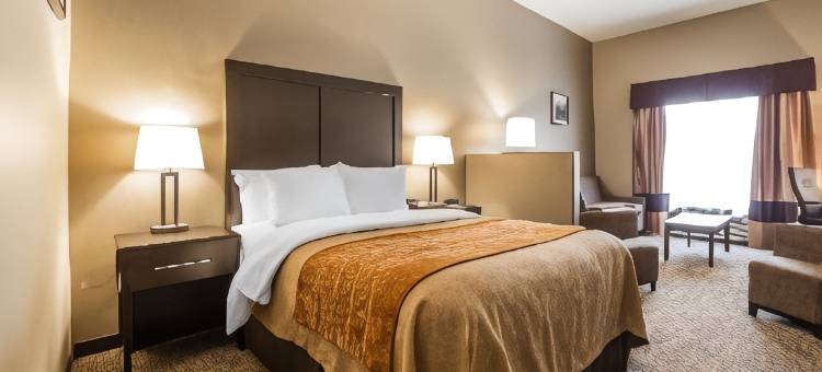 弗纳尔-国家公园区舒适套房酒店(Comfort Inn & Suites Vernal - National Monument Area)图片