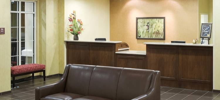 希尔顿Homewood套房弗雷斯诺机场/克洛维斯酒店(Homewood Suites by Hilton Fresno Airport/Clovis)图片
