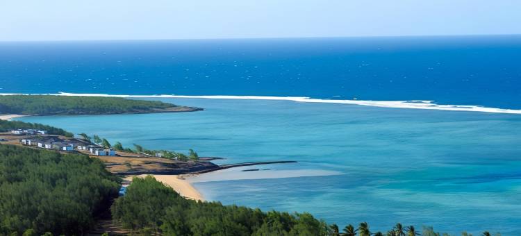 康斯坦斯-Tekoma(Constance Tekoma)图片