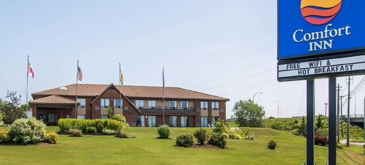 东部舒适酒店(Comfort Inn East)图片