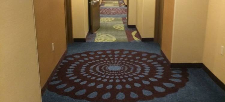 格林斯伯勒体育馆假日酒店(Holiday Inn Greensboro Coliseum)图片