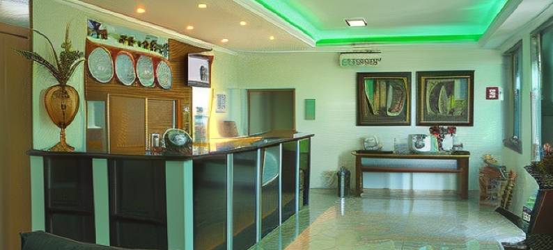 弗罗儿米纳斯酒店(Hotel Flor de Minas)图片