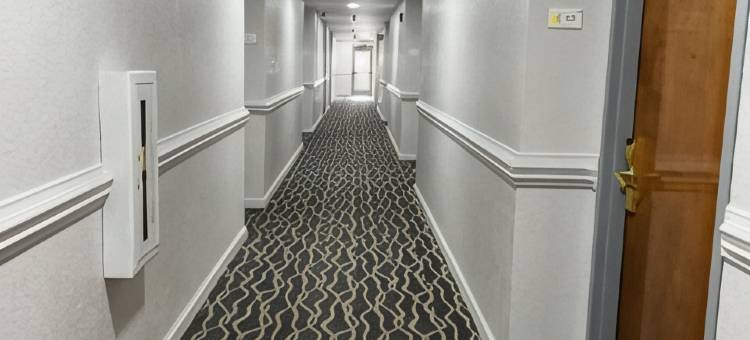 克莱蒙斯-温斯顿-塞勒姆地区速8酒店(Super 8 by Wyndham Clemmons/Bermuda Run/Winston-Salem I-40)图片