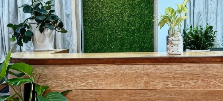 城市旅馆(Town Inn Hotel - Rainforest)图片