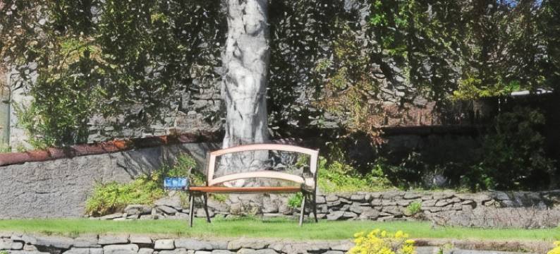 罗斯摩尔住宿加早餐旅馆(RossMor Bed & Breakfast)图片