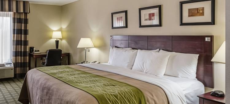 西公园西南高速公路舒适酒店及套房(Comfort Inn Southwest Fwy at Westpark)图片