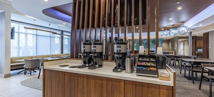 韦恩堡西南SpringHill Suites酒店(SpringHill Suites Fort Wayne Southwest)图片