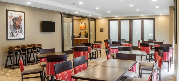 舒适套房酒店-曼海姆兰开斯特(Comfort Suites Manheim - Lancaster)图片