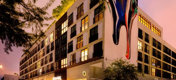 温伍德中央公寓(Sentral Wynwood)图片