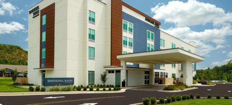 SpringHill Suites Ellijay图片