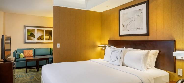 莫德斯托万豪SpringHill酒店(SpringHill Suites Modesto)图片