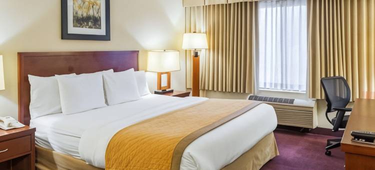 萨默塞特凯隆酒店-新不伦瑞克(Clarion Hotel Somerset - New Brunswick)图片