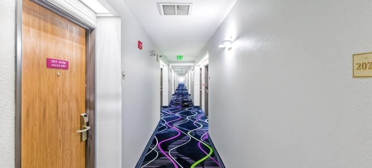 杰克逊呗盟套房酒店(Baymont by Wyndham Jackson)图片