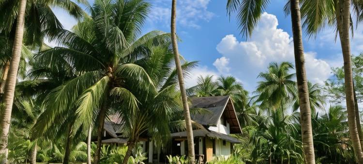 锡亚高桑迪维特旅馆(Sandy Feet Siargao)图片