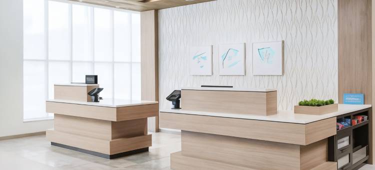 希尔顿花园酒店阿波卡城市中心(Hilton Garden Inn Apopka City Center)图片