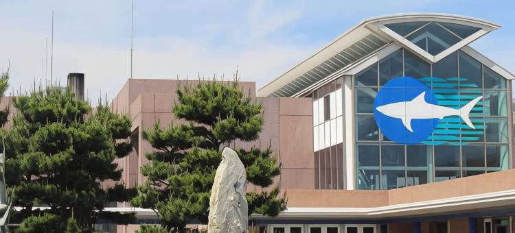 皇家酒店水户 - 原名酒店趋势水户(Royal Inn Mito)图片