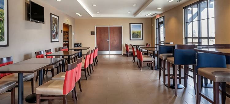 机场-大学舒适套房酒店(Comfort Suites Airport-University)图片