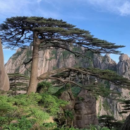 上海+杭州+千岛湖+黄山+宏村+乌镇+苏州+无锡+南京11日10晚跟团游