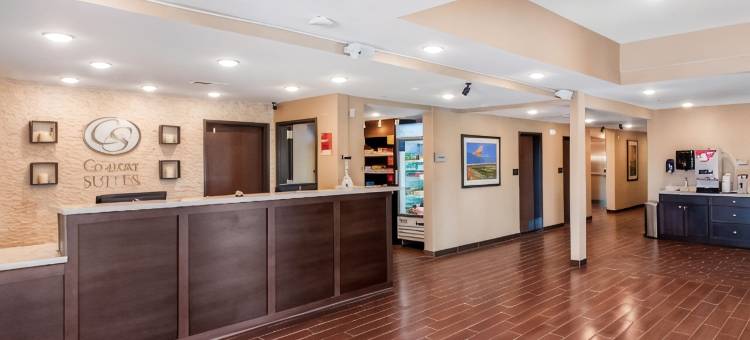 舒适套房酒店-拉威斯达奥马哈(Comfort Suites)图片