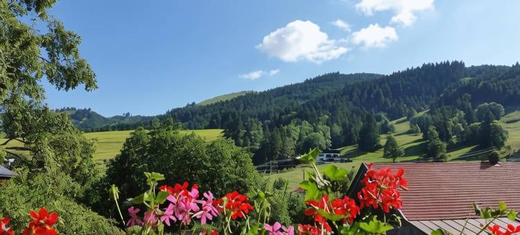 蒂罗尔山泉(Bergquell Tirol)图片