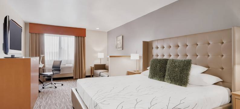 胡椒树机场贝斯特韦斯特优质酒店(Best Western Plus Peppertree Airport Inn)图片