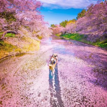日本+北海道6日5晚私家团