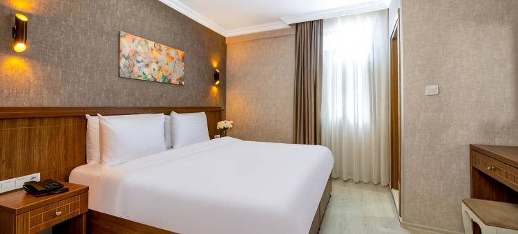 钻石贝亚兹特酒店(DIAMOND BEYAZIT HOTEL)图片