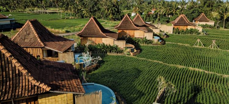 乌布 DITUJU(DITUJU Ubud by GenuineHost)图片