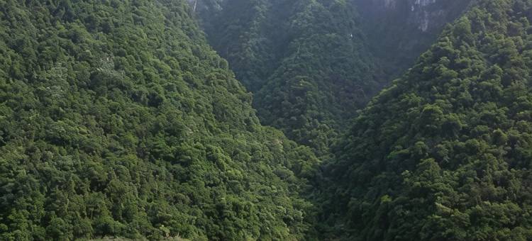 长阳倒影峡农庄图片