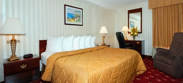 舒适酒店-盖瑟斯堡罗克维尔凉荫丛(Comfort Inn Shady Grove - Gaithersburg - Rockville)图片