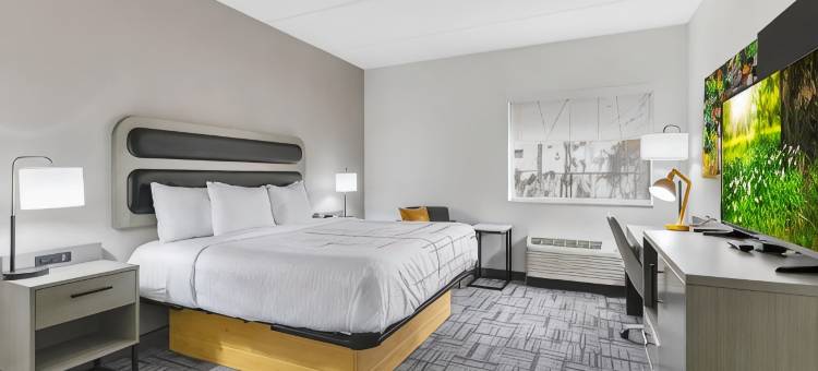 杰克逊维尔蔓达林拉昆塔温德姆套房酒店(La Quinta Inn & Suites by Wyndham Jacksonville Mandarin)图片