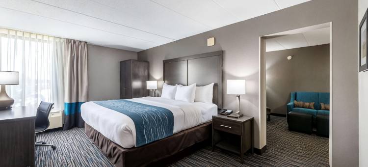 芝加哥绍姆堡舒适酒店 - 奥黑尔机场(Comfort Inn Chicago Schaumburg - O'Hare Airport)图片