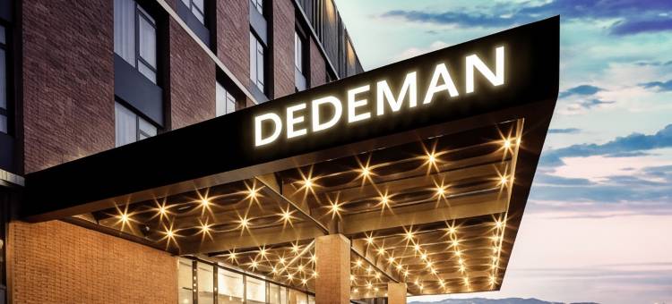 卡特佩伊兹密特德德曼酒店(Dedeman Kartepe Kocaeli)图片